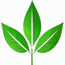 cnpaperfactory